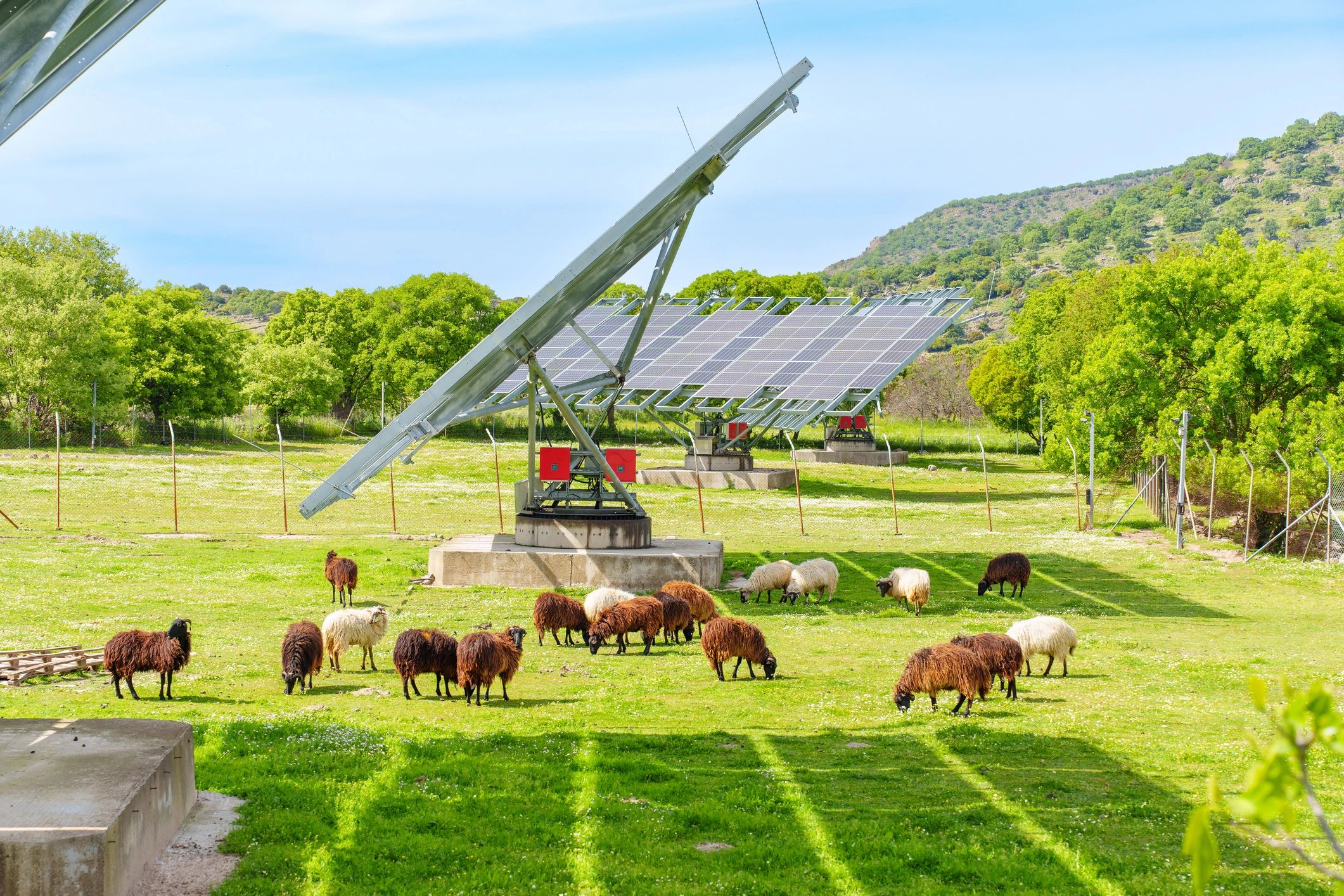 Solar-powered farm water system in an agricultural landscape
